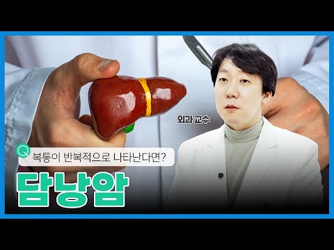 조기 발견이 어려운 침묵의 장기, 담낭! | 건강플러스 | 24년 12월 15일