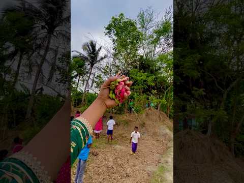 বাচ্চাগুলোকে যা বকা দিলো এক টুকরো কিচিমিচির জন্য 🥺jalebi fruit