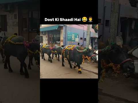 Aaj Dost Ki Shaadi Hai 😂🤵‍♂️ #shorts #memes #viralvideo