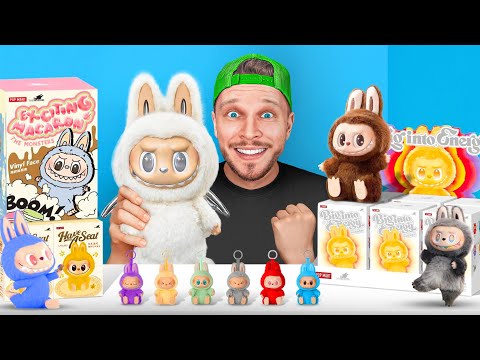 J’ai Acheté Tous les LABUBU les Plus RARES d'internet !