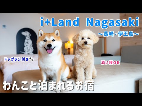 【犬連れOK】久々のアイランド長崎に大興奮♫お喋り多めのぽん吉が可愛すぎました(長崎旅行前編)【#114】