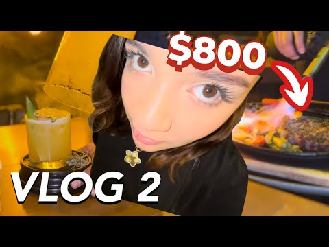 VLOG 2 | Me PAGARON TODA la cuenta de SORPRESA 😦