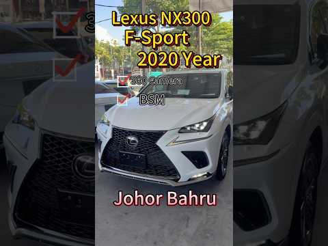 🇲🇾NX300 F-Sport 2020 Years F-Sport Japan Spec