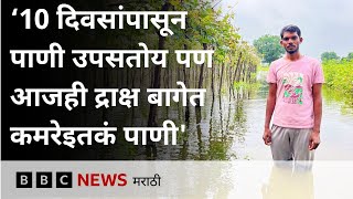 Maharashtra Flood Damage: 'द्राक्षाच्या बागेत कमरे इतकं पाणी’ द्राक्षाच्या पंढरीत शेतकऱ्यांचं नुकसान