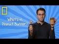 Understanding Peanut Butter Composition and Preparation