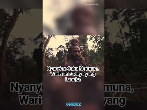 Nyanyian Suku Momuna, Warisan Budaya yang Langka