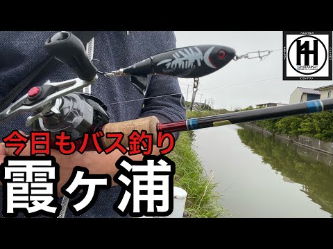 バス釣り霞ヶ浦!夕まずめトップ縛り2026年6月19日