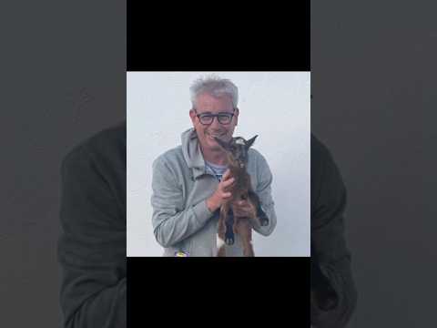 LIVE STREAM - Ecuador Protests! Join us while we chat with Graf Monday 7:30pm Eastern!