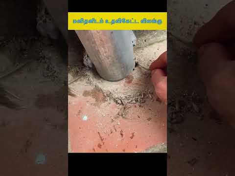 மனிதனிடம் உதவிகேட்ட விலங்கு
