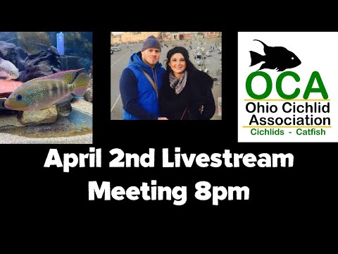 April 2nd, OCA Livestream Meeting Use This Link To Watch on Facebook or Watch on our YouTube Channel.
https_//www.youtube.com/c/OhioCi