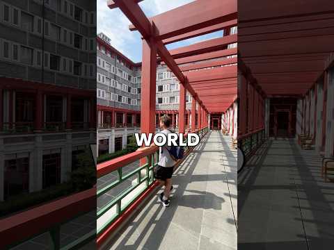 SCHWARZMAN COLLEGE TOUR