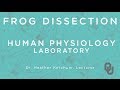 Lab Techniques for Heart Experiments