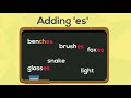Pluralization Rules and Exceptions