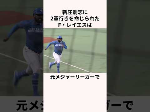 「新庄剛志に2軍行きを命じられた」レイエスに関する雑学　#野球 #野球解説 #北海道日本ハムファイターズ
