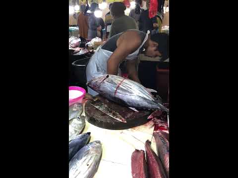 Slow fish cutting for beginner guide (Live) 🤔 #fish #fishcutting #tuna #seafood #fishing