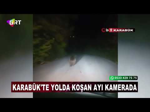 Karabük'te yolda koşan ayı kamerada