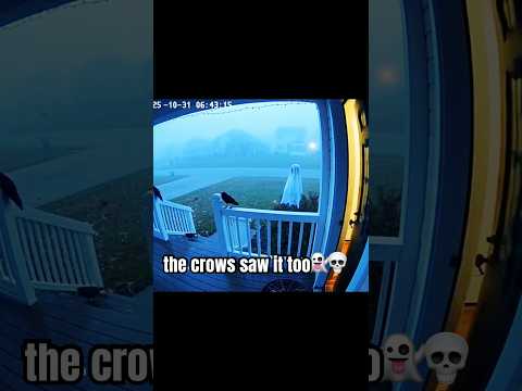 Haunted Doorbell Footage on Halloween 👻🎃