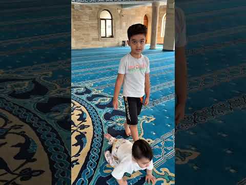 Cami Avlusunda Karşımıza Çıkan Sürpriz Misafir 🕌