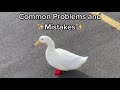 Duck Handling Techniques
