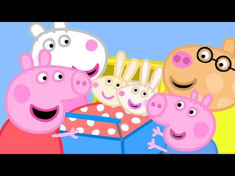 Miss Rabbit Has Twins! 🍼 | Peppa Pig Full Kids Episodes | 30 Minutes