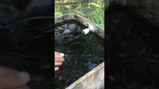 NEVE E FRIO EXTREMO NO RIO GRANDE DO SUL RADIO CRAMENTO