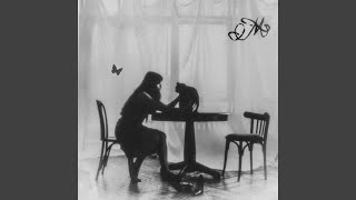 Черная кошка