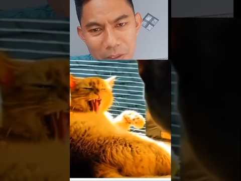 ingat umur rek #reactionvideo #fkbudy #funny