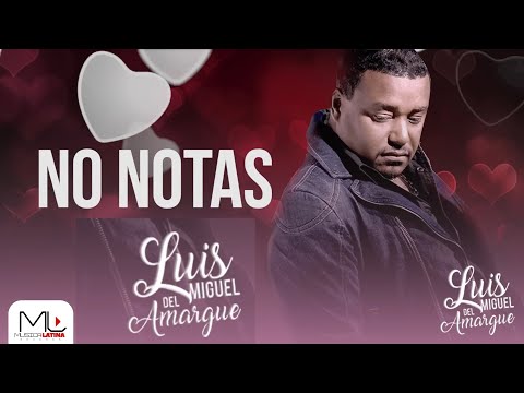 LUIS MIGUEL DEL AMARGUE NO NOTAS