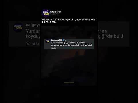 Çizgili sırtlanla ufak bi hasbihal