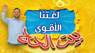 من أفصح النجوم لساناً في بيت الحج | طيور الجنة بلس