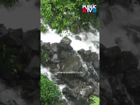 ಖಾನಾಪುರ ತಾಲೂಕಿನ ಪಾರವಾಡ ಜಲಪಾತದ ವೈಭವ ನೋಡಿ | Belagavi | Public TV