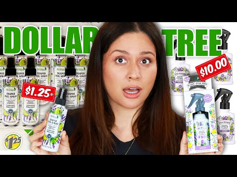 Is Dollar Tree ALLOWED to Dupe These?