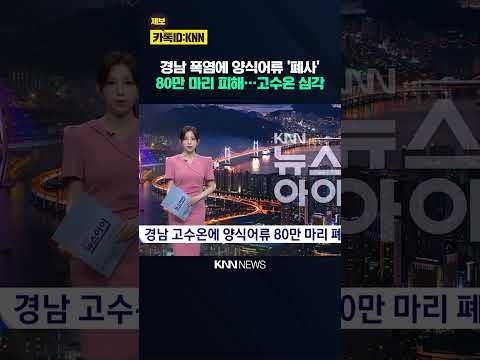 경남 고수온에 양식어류 80만 마리 폐사 / KNN