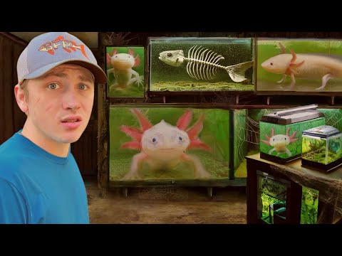 I Found an Abandoned Axolotl Farm