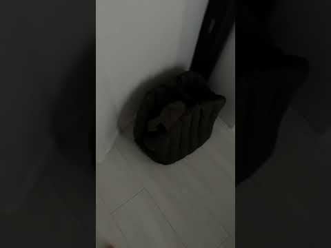 От кого,от кого,от тещи я такого не ожидал😂🤝инст:sarkison7