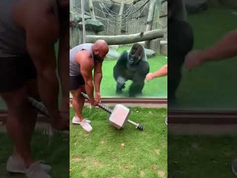 Two Men vs Giant Iron Hammer – Gorilla Strength Challenge!