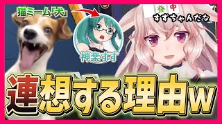 【神楽すずさん犬説】「例の猫ミームを見るたびに同僚」だと思ってしまうもこ田めめめ【.LIVE/どっとライブ・ぶいぱい・アップランド切り抜き/