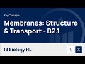 Cell Membrane Functions and Transport