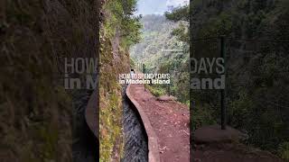 🗺️ HOW TO SPEND 7 DAYS IN MADEIRA ISLAND 🥰 comment ‘7days’ to get the free itinerary 🤍✈️ #travel