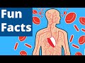 Understanding the Human Body