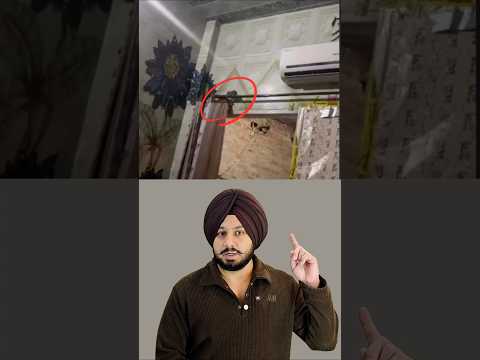 The โGhostโ Behind the Curtainโฆ Was Just a Mouse