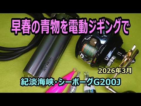 電動ジギングの多彩なアクション! 激安リチウムバッテリーで十分使える!