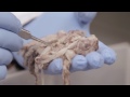 Self-Healing Materials and Their Applications