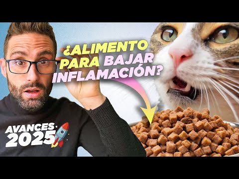 ✨Avances que CAMBIARÁN LA VIDA DE TU GATO en 2025 😺🔬 | Mejoras en alimentación, bienestar y medicina