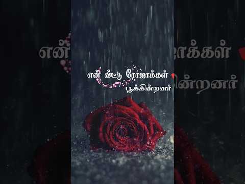 🌹 Roja Roja 🌹 [A R Rahman] song