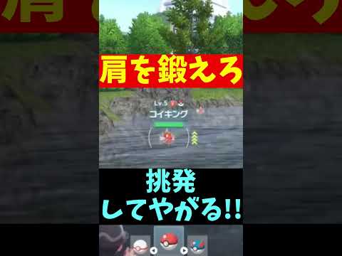 thumbnail_Rjcb2jIktD8