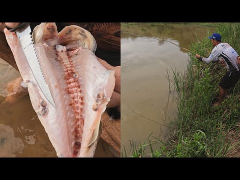 Quando eu joguei a isca na lagoa, não imaginava pegar tanta traíra cheia de vermes