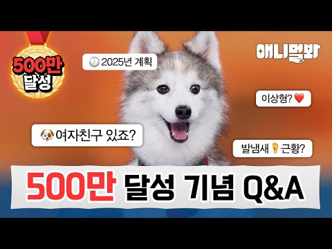 ＂간다간다 500만 간다💗＂ 구독자 500만 기념 무엇이든(?) 알려드립니다! | SBS 뉴스멀봐(2025.01.10) 5M Subs Celebration QnA