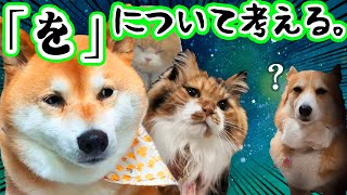 しりとりで白熱する犬と猫（アテレコ）