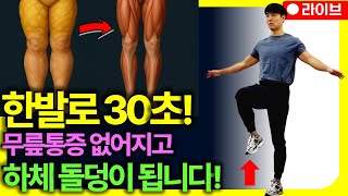 딱 20초만 버티세요! 🔥무릎관절에 무리없이 허벅지에 돌덩이 같은 근육 생깁니다![한발서기,무릎,발목,골반,코어,운동,중년]